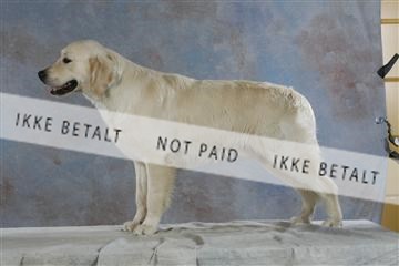 5493_sme _03__MG_9843.JPG