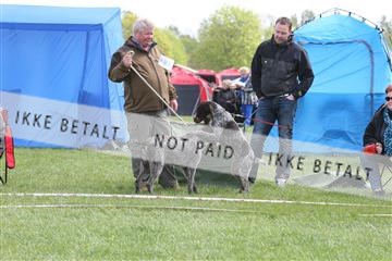 134871_ms_04_IMG_9862.JPG