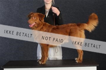 132082_le_ 01_IMG_0879.JPG