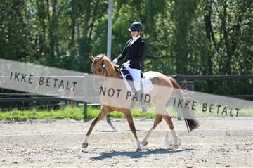 168732_mtp_01_3M5A6700.JPG
