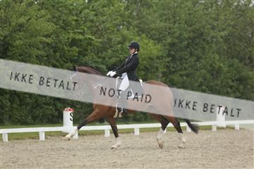 139835_sg_02_IMG_8848.JPG