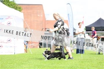 181564_rin_01_R62_7655.JPG
