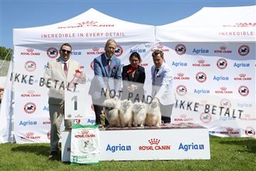 181564_kar_01__62_7774.JPG