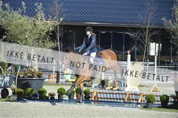 139644_abo_02__AB14511.JPG