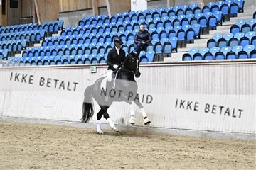 182241_kbb_01_Z094428.JPG