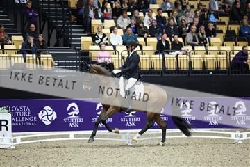 182194_mlm_02_R62_0938.JPG