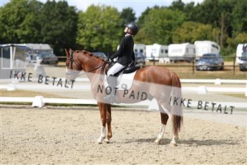 181894_mtp_05_R62_4442.JPG