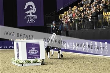 182194_kbb_03_Z092862.JPG