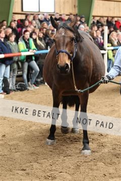139265_kl_1_8M1Q6295.JPG