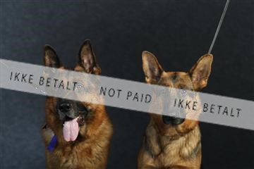 132082_le_ 01_IMG_0920.JPG