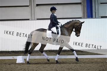 141472_abo_01__AB15838.JPG