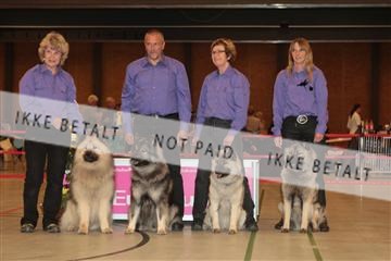 124188 _tl_02_IMG_9262.JPG