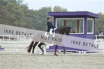 181923_mtp_03_R62_7758.JPG