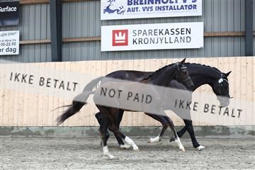 181757_avh_01_7594.JPG