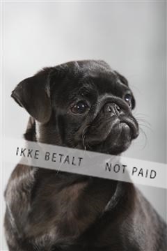 129608_le_ 01_0171.JPG