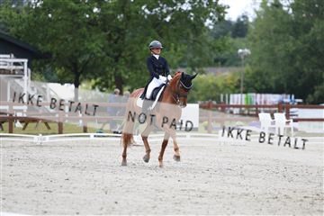 181923_mtp_01_R62_6230.JPG