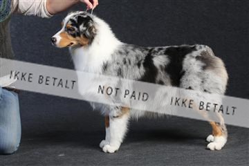 132082_le_ 01_IMG_0256.JPG