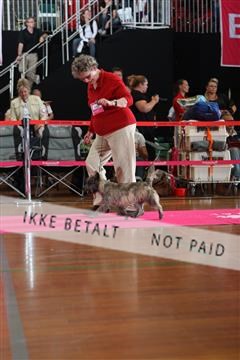 6068_ma_07_IMG_6681.JPG