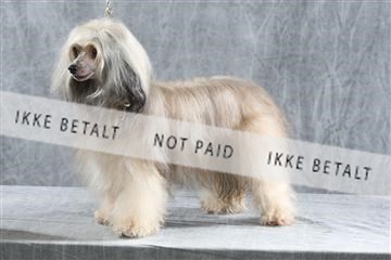 129608_le_ 01_0083.JPG