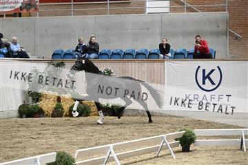 181957_kbb_02_Z098949.JPG