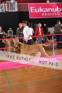 6068_ma_05_IMG_6035.JPG