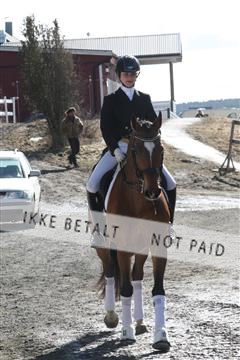 139267_kl_1_8M1Q6697.JPG