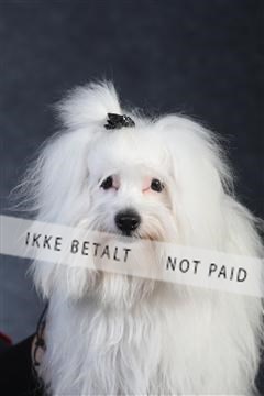 132082_le_ 01_IMG_0297.JPG