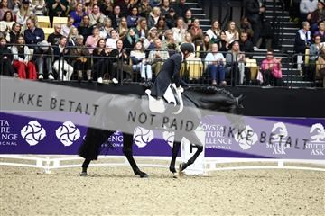 182194_avh_06_3545.JPG