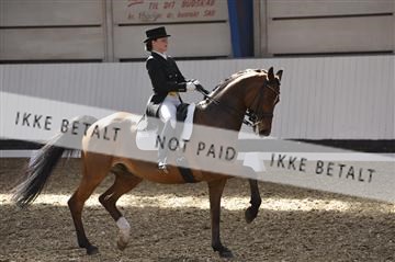 139422_bc_03__BC26140.JPG