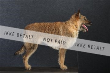 132082_le_ 01_IMG_0904.JPG