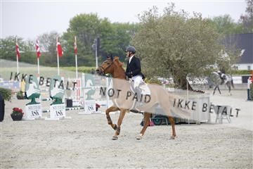 181332_kbb_02_6II5533.JPG