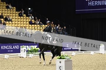 182194_kbb_03_Z090426.JPG