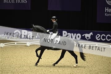 182194_kbb_01_Z095562.JPG