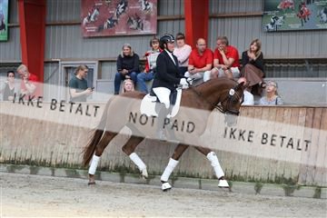 181867_mtp_01_R62_3782.JPG