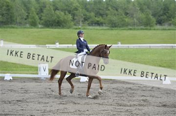 140040_abo_01__AB16277.JPG