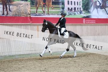 181887_mtp_04_R62_9227.JPG