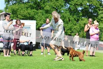 181564_rin_02_R62_2678.JPG