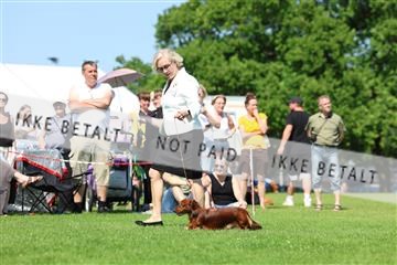 181564_rin_02_R62_3617.JPG
