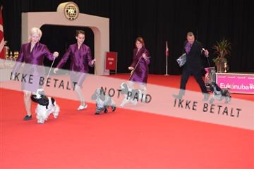 126827_tl_04_IMG_9890.JPG