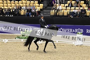 182194_kbb_03_Z091280.JPG