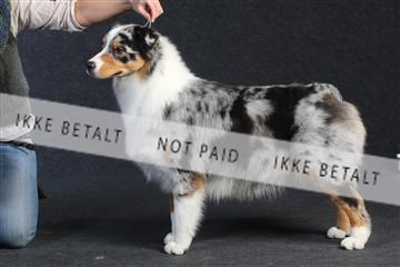 132082_le_ 01_IMG_0250.JPG