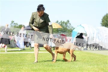 181564_rin_01_R62_7649.JPG