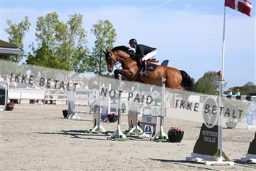 181436_avh_02_3727.JPG