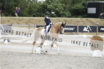 166078_rhj_01__J7R3154.JPG