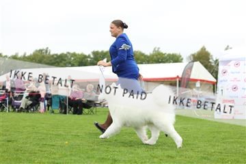 182009_rin_01_R62_6917.JPG