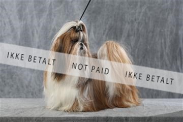 128239_le_kort_ 01_0380.JPG