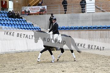 182241_kbb_01_Z093588.JPG
