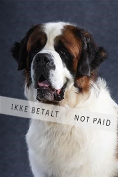 132082_le_ 01_IMG_0755.JPG