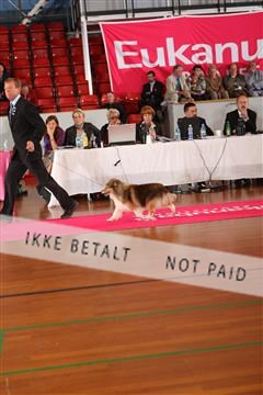 6068_ma_05_IMG_6108.JPG