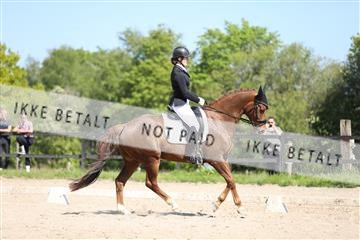 168732_mtp_01_3M5A8182.JPG